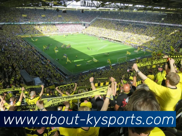 球赛投注品牌故事